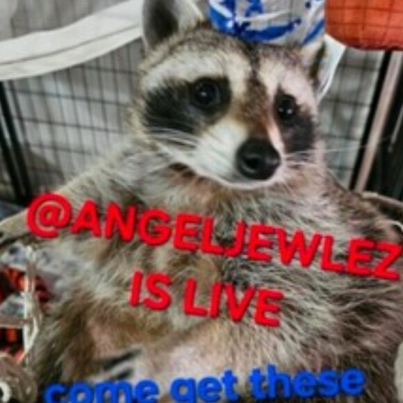 angeljewlez